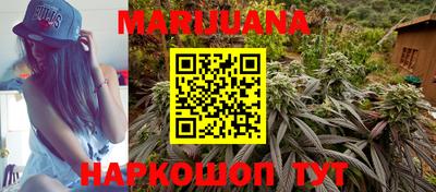Альфа ПВП Нальчик