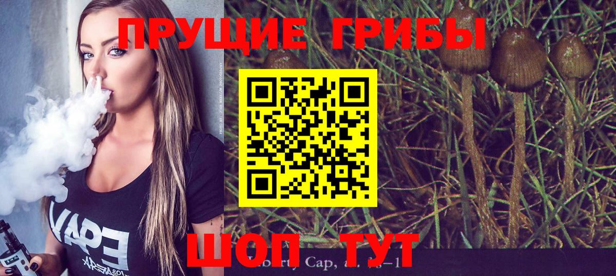 Галлюциногенные грибы Psilocybe Сосновоборск